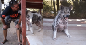 Shelter Dog Celebrates with Adorable ‘Happy Dance’ After
4-Years of Waiting