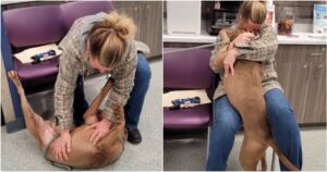 Shelter Dog ‘Whipped’ His Head Around When Woman Calls Him
By His Real Name