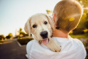 Signs Your Dog Is Trying to Turn You Into a Dog Person (Even
If You Already Are One)