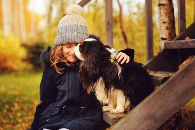 The 10 Most Affectionate Dog Breeds On Earth