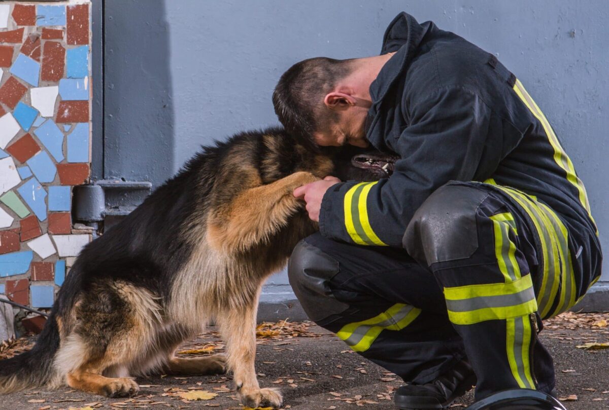 The 12 Most Heroic Dog Breeds On Earth