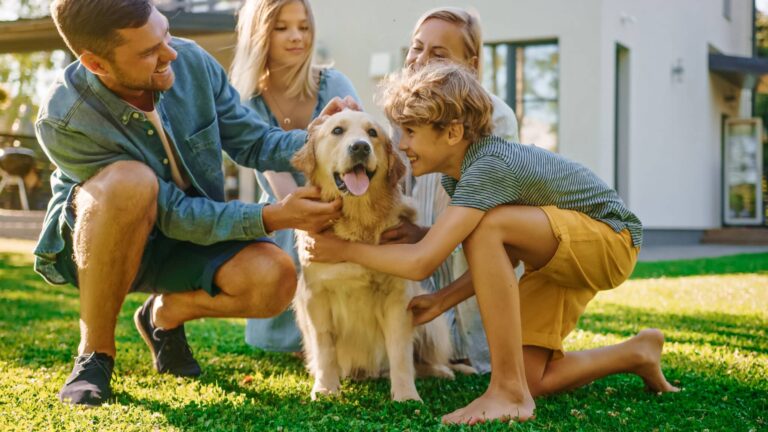 The 16 Friendliest Dog Breeds Who Love Everyone They
Meet