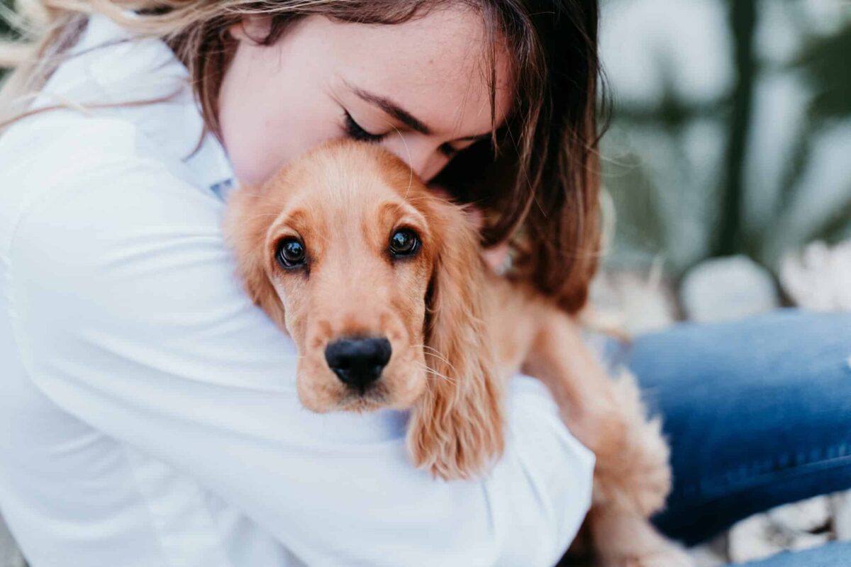 The 8 Dog Breeds with the Highest Emotional
Intelligence