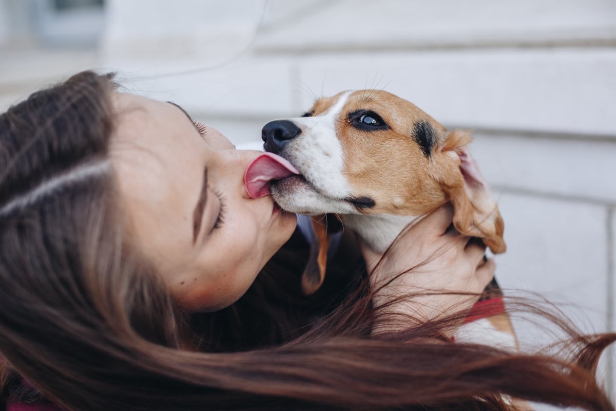 The 9 Most Friendly Dog Breeds On Earth