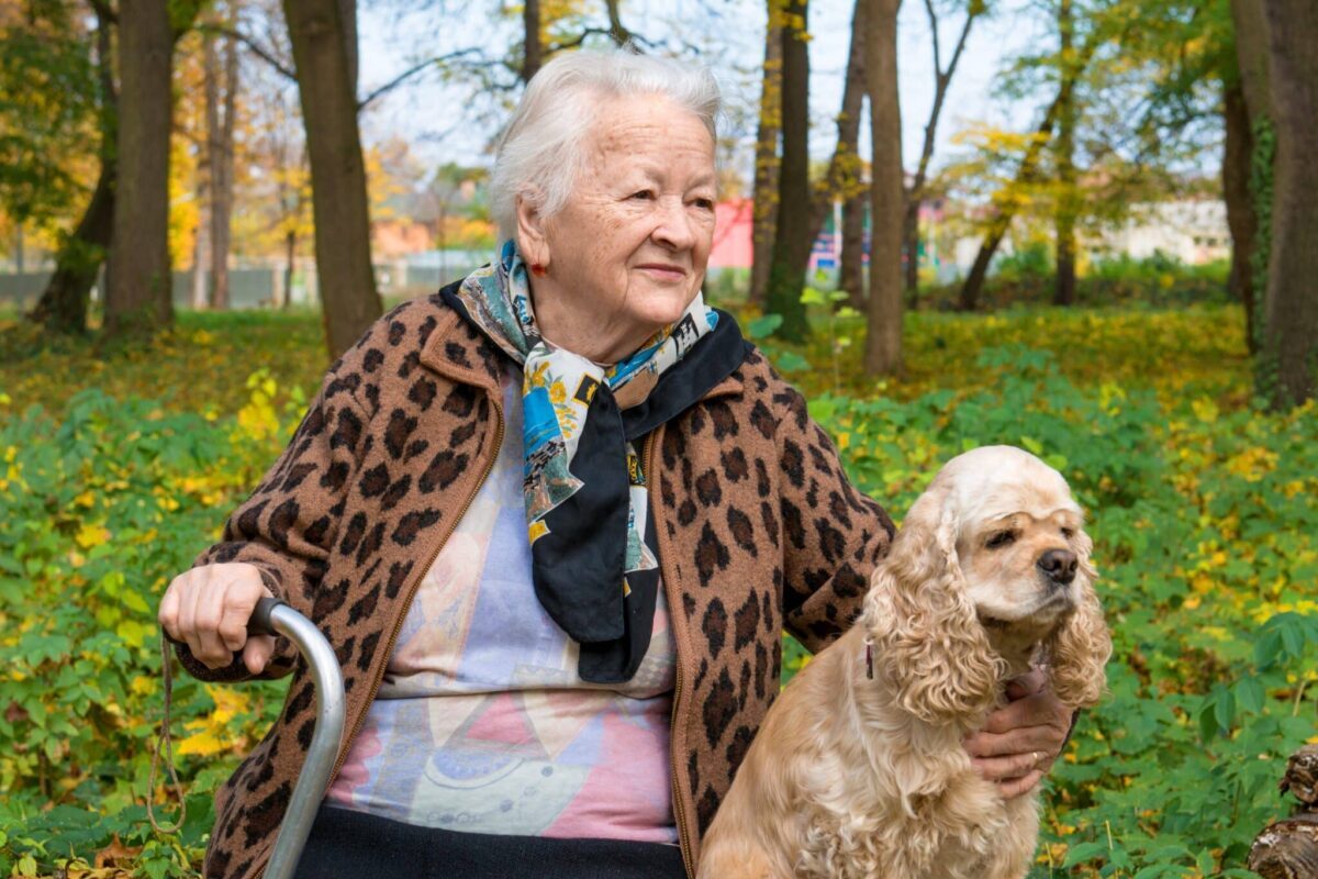 10 Best Dog Breeds That Can Be Gentle Companions for
Seniors