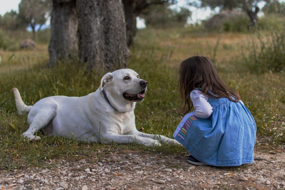 11 Amazing Things Dogs Can Sense About Humans