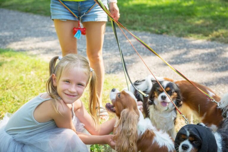 12 Dog Breeds That Love Meeting New People (and 5 That Hate
Strangers)