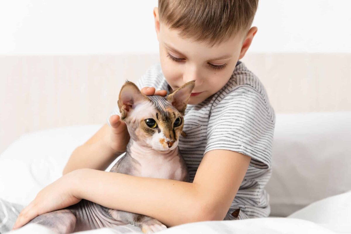 12 Most Affectionate Cat Breeds