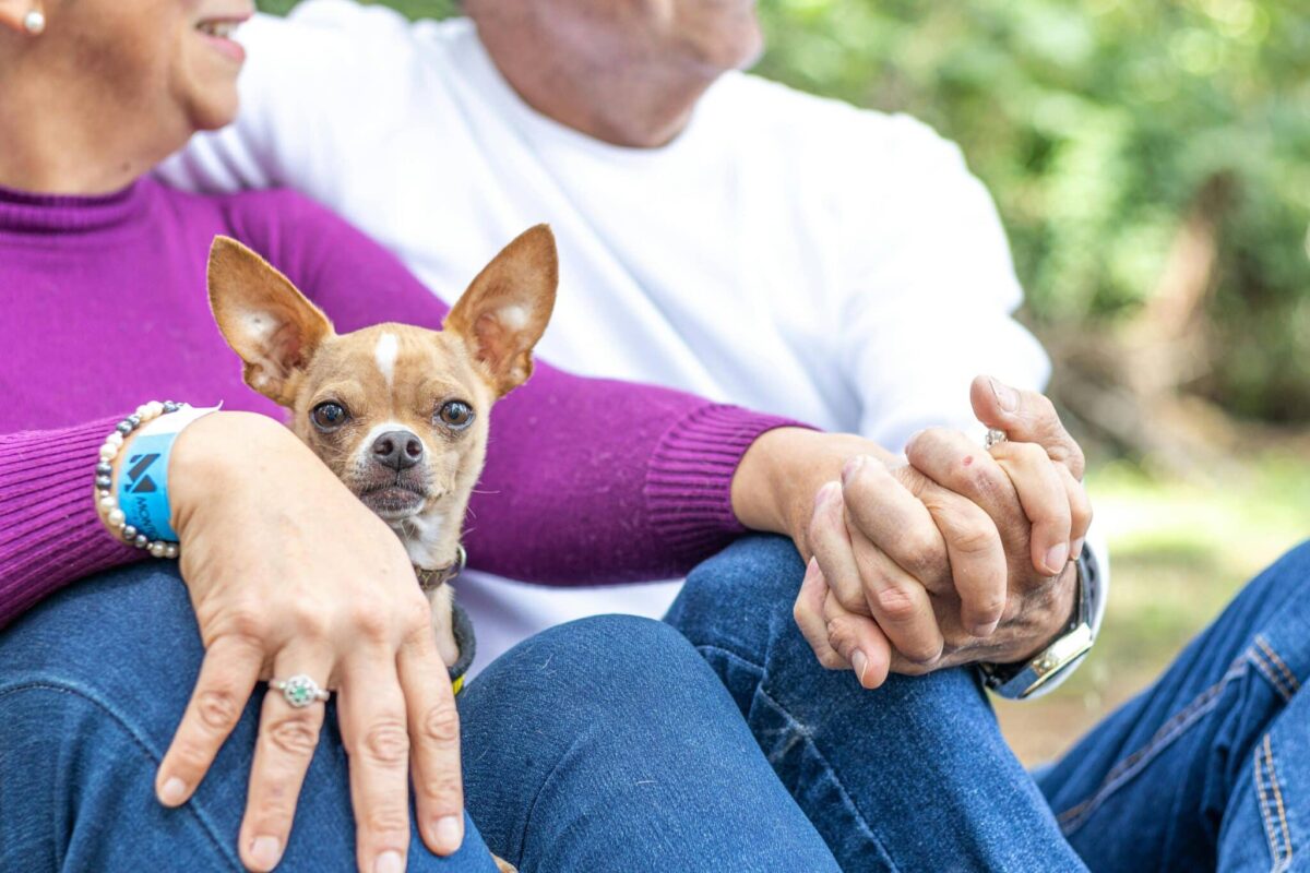 13 Dog Breeds Who Are Perfect Companions for Seniors