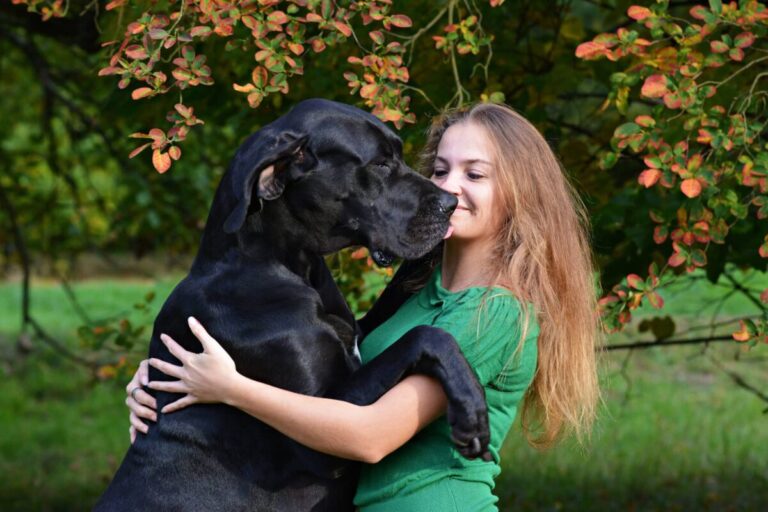 7 Massive Dog Breeds That Act Like Big Softies