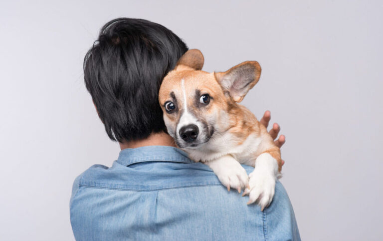 13 Scientific Facts About Dogs Smelling Fear