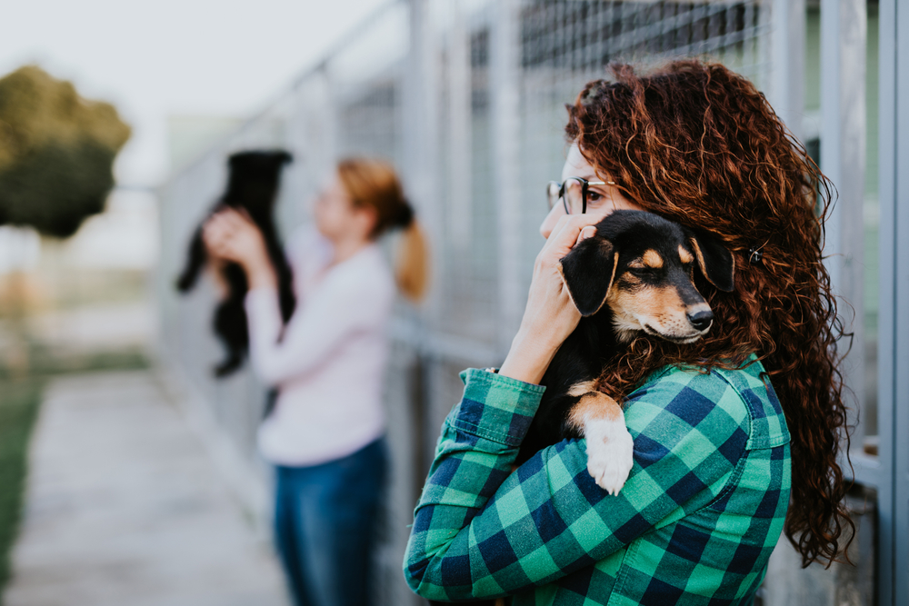 Two womans volunteering in a dog shelter