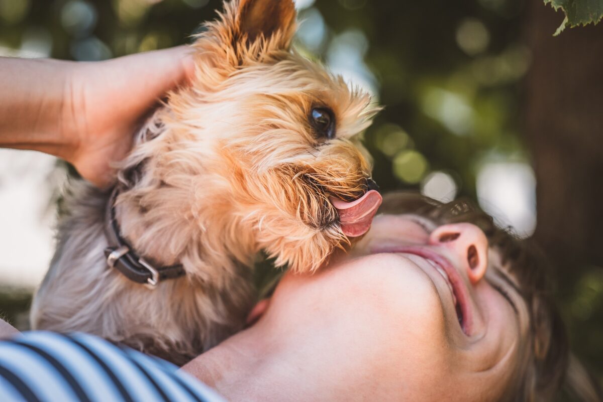 15 Unexpected Motivations Behind Why Dogs Lick You