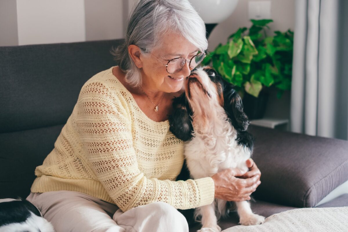 17 Low-Maintenance Dogs That Seniors Will Love