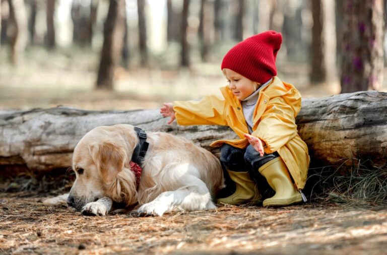 17 Dog Breeds Who Are Extra Patient with Kids