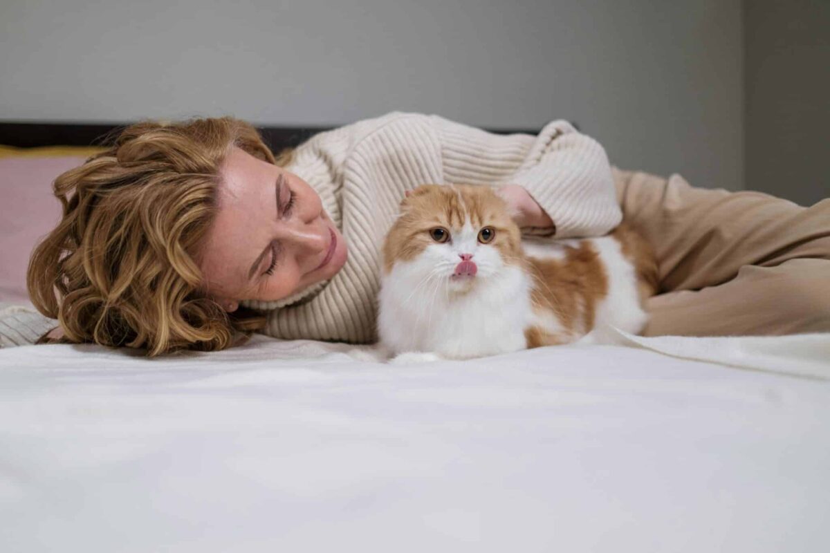 25 Cat Breeds That Are Basically Furry Therapists in
Disguise