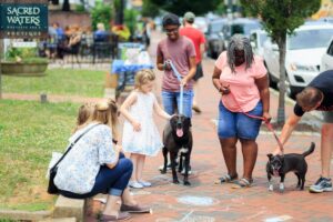 7 Proven Strategies for Introducing Your Dog to New Friends
and Companions