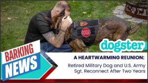 Retired Military Dog and U.S. Army Sgt. Reconnect After Two Years