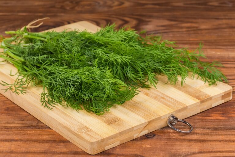 Can Dogs Eat Dill? Vet-Verified Nutrition Facts &amp;
Preparation Ideas