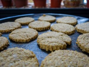 Freshly Baked Oatmeal Cookies