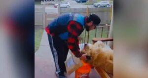 Delivery Drivers Showcase Their Heartwarming Bonds with
Four-Legged Customers