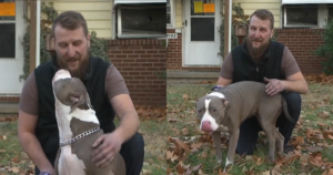 Dog Nudges Man Awake, Leading Him to Realize He Can Barely
Breathe