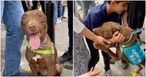 Family Attends Adoption Event And Finds ‘Long-Lost Face’ In
The Crowd