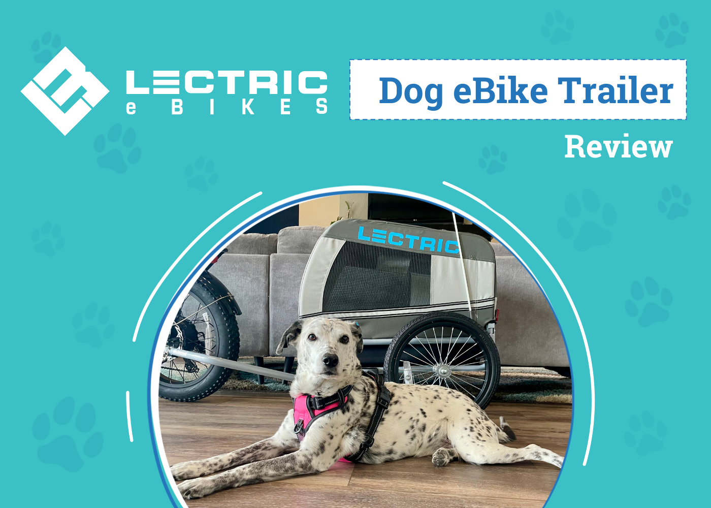 Lectric eBikes Dog eBikes Trailer