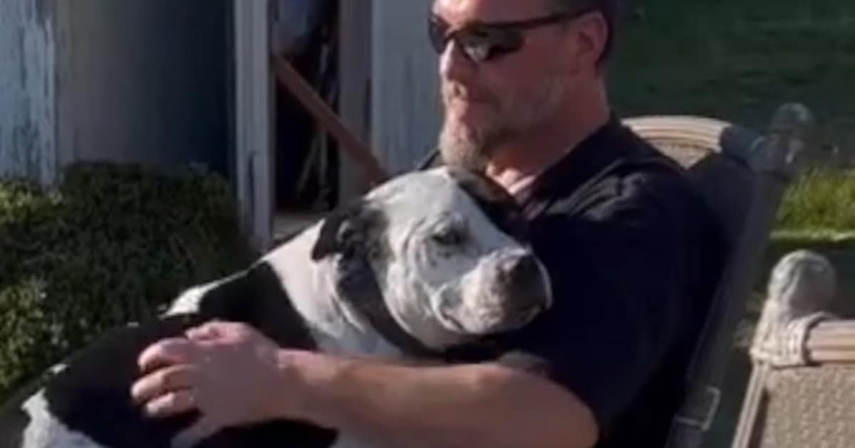 Lonely Dog Finally Finds a Loving Family and Can’t Hide His
Joy