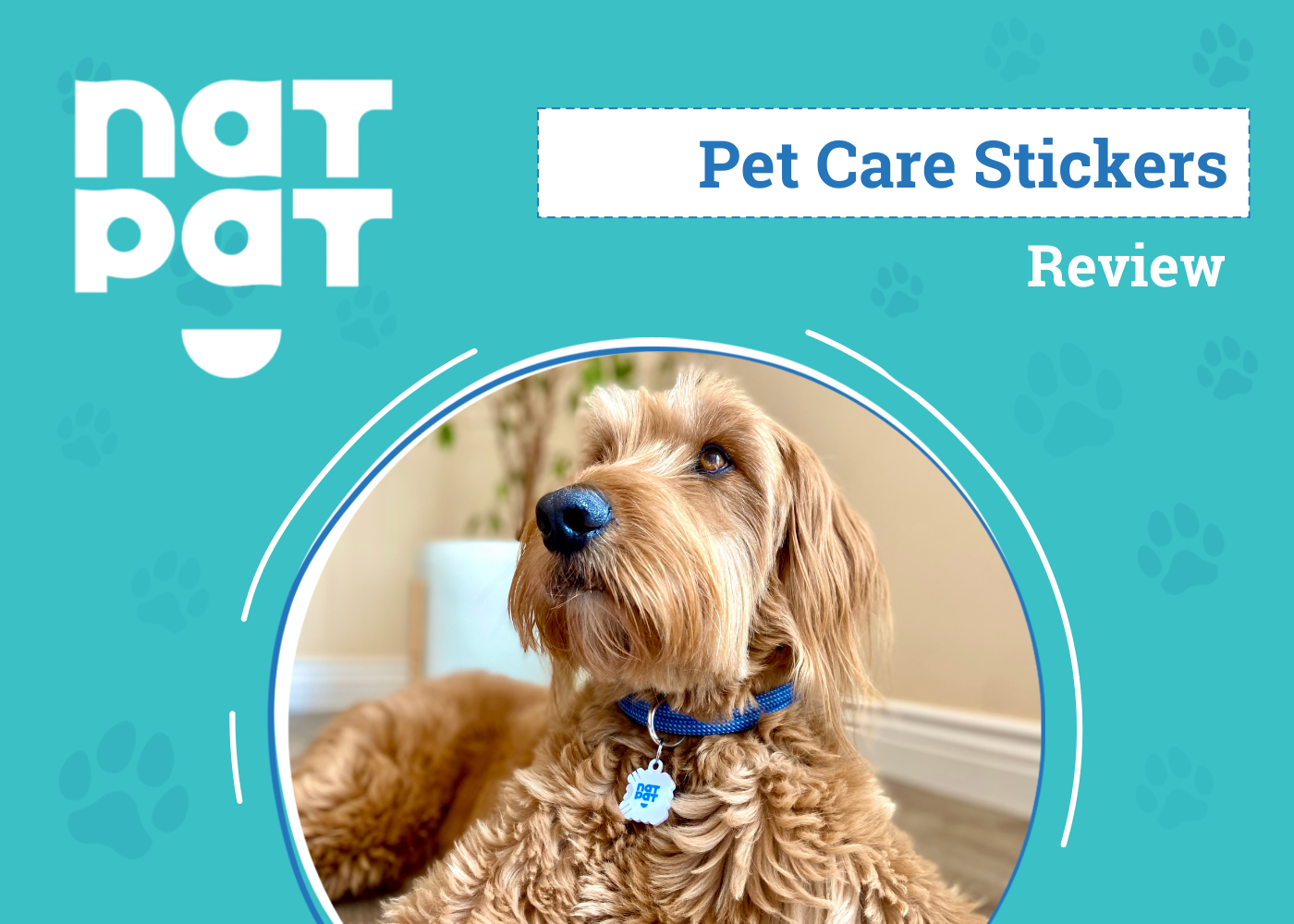 NATPAT Pet Care Stickers