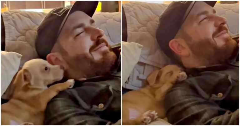 New Puppy Thanks His Dad For Choosing Him Then Drifts-Off To
Sleep