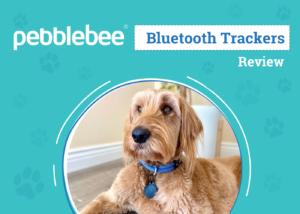 Pebblebee Bluetooth Trackers