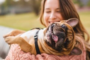 Top 15 Friendliest Dog Breeds