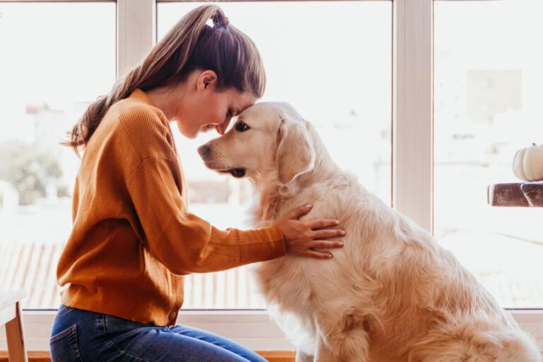 Top 15 Most Compassionate Dog Breeds