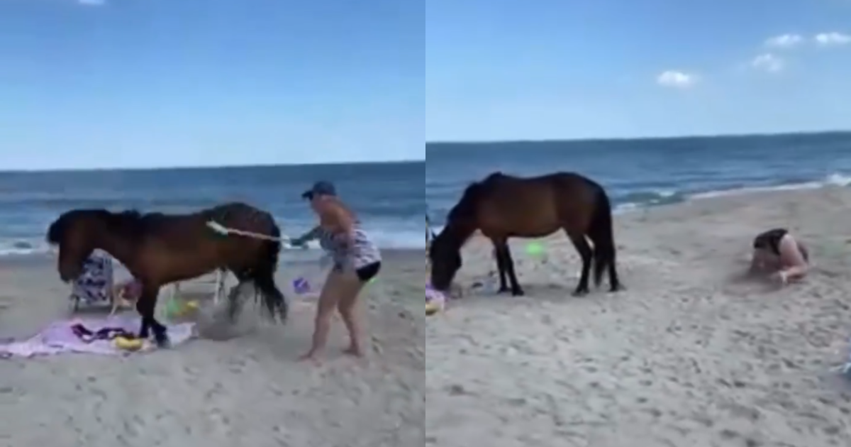 Woman Whacked A Wild Horse With Shovel And Did Not Expect To
Receive “Instant-Karma”