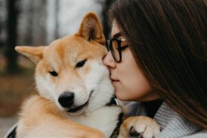 11 Dog Breeds Who Form Strong Bonds With One Person