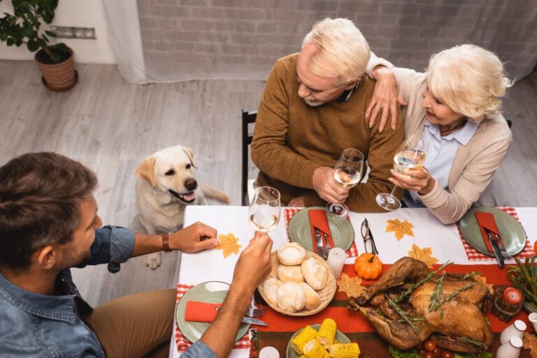 11 Healthy Holiday Foods To Make Your Pup’s Season Merry And
Bright