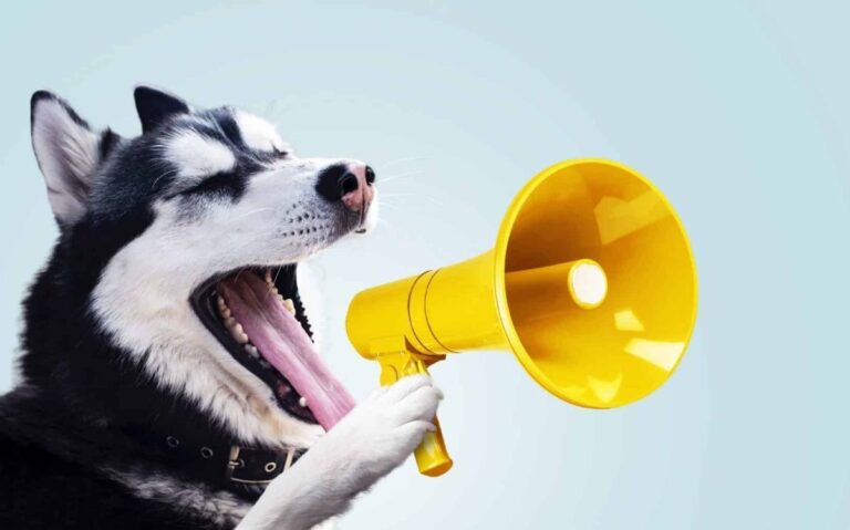 13 Breeds with Distinctive Voices You’ll Never
Forget