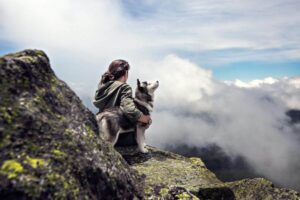 13 Dog Breeds Who Always Seek Adventure