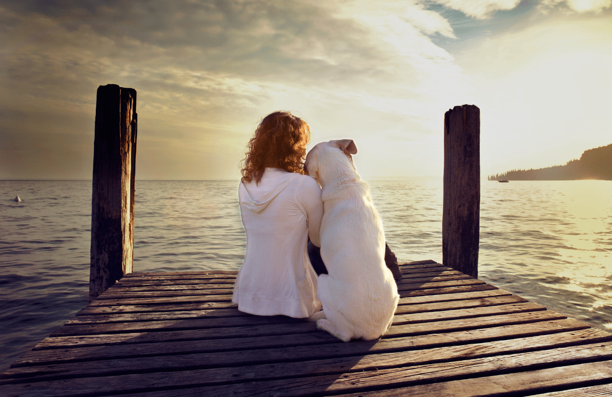 15 Beautiful Ways Dogs Teach Us To Slow Down And Savor
Life