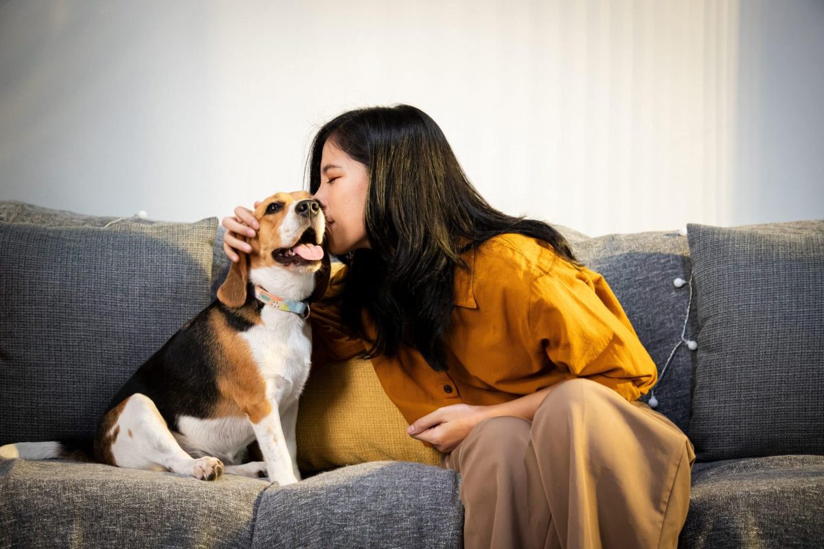 15 Traits That Make Dogs The Most Mischievous And Endearing
Companions