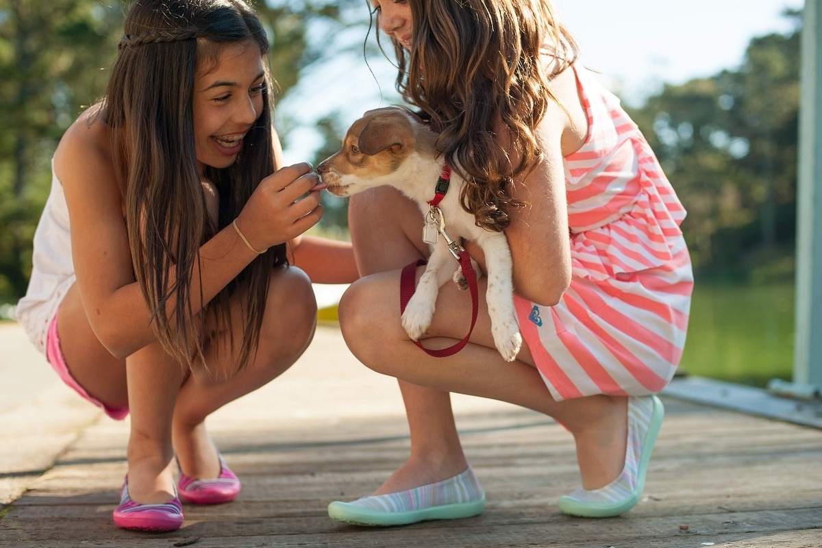 16 Most Family-Friendly Dog Breeds: Dogs That Are Great With
Kids