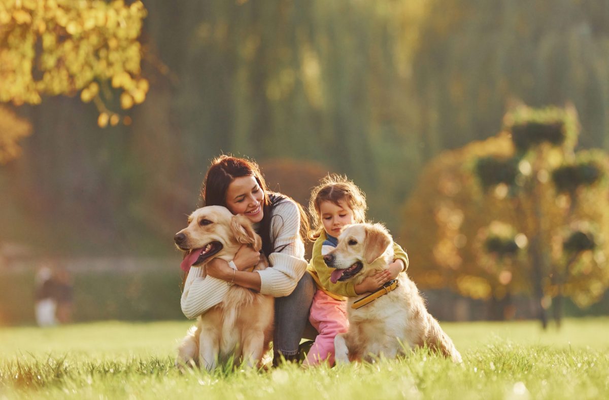 17 Dog Breeds Who Form a Special Bond with Their
Families