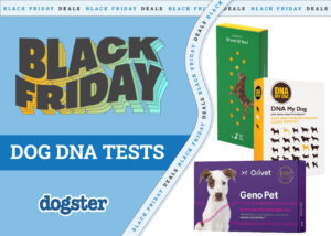 5 Best Black Friday/Cyber Monday Dog DNA Kit Deals &amp;
Sales 2024