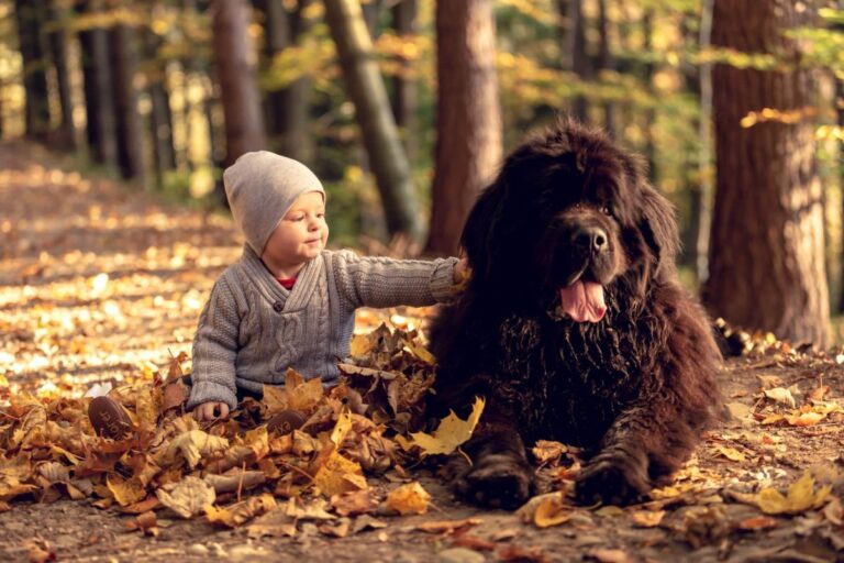 9 Dog Breeds That Are Perfectly Gentle Around Babies