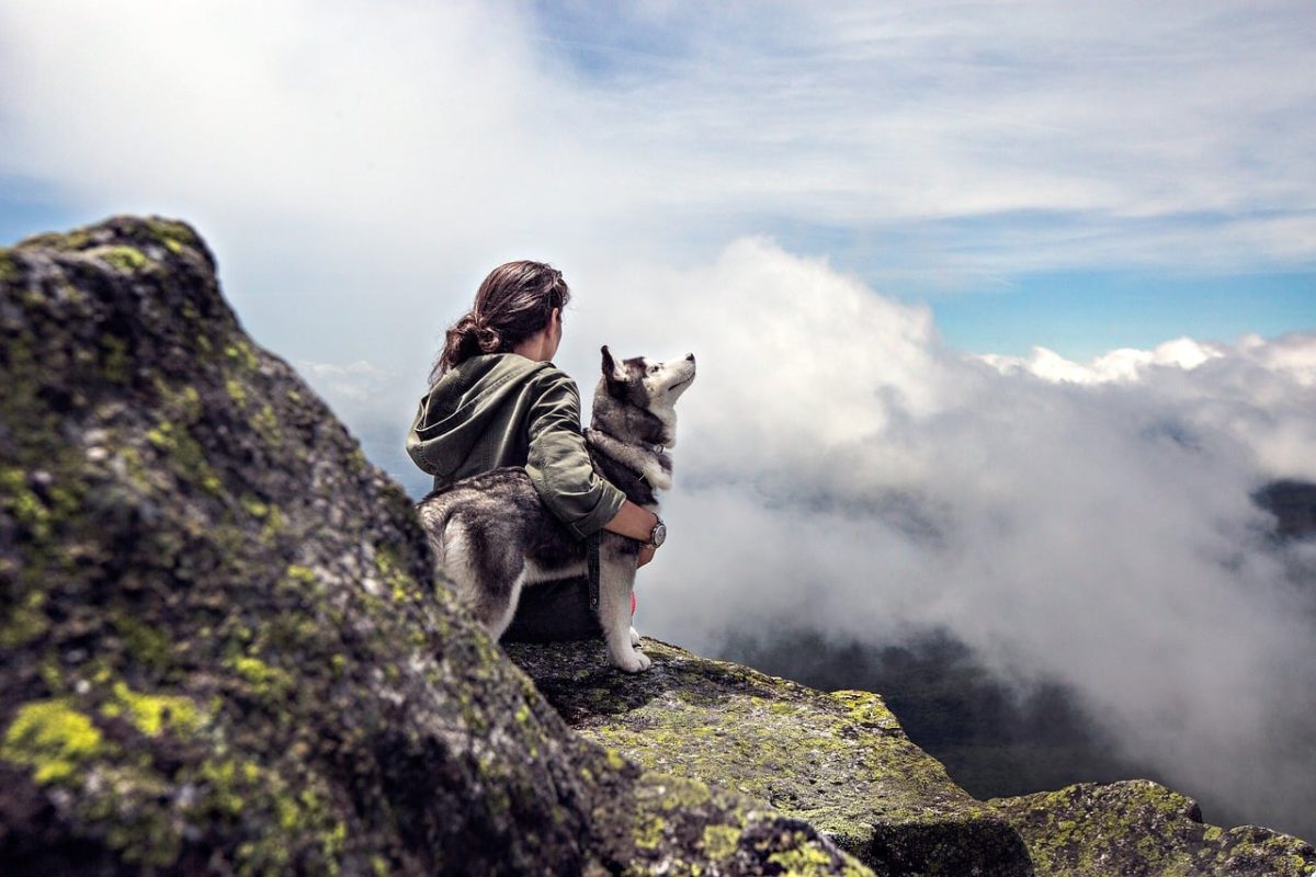 9 Heartwarming Reasons Dogs Are the Best Friends We’ll Ever
Have