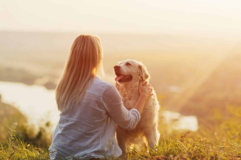 9 Heartwarming Reasons Your Dog Is The Best Friend You’ll
Ever Have