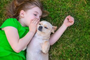 9 Reasons Why Dogs Are The Best Listeners In The
World