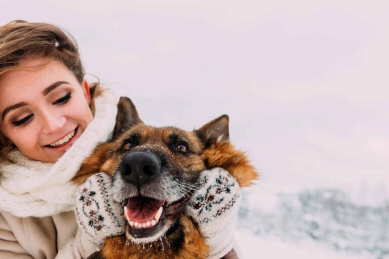 9 Simple Ways To Show Your Dog Just How Much You
Care