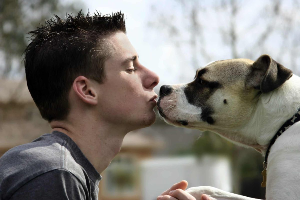 9 Thoughtful Tips To Make Your Dog Feel Truly Loved